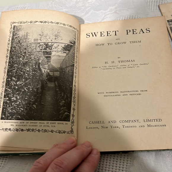 First Edition Sweet Peas and How to Grow Them by H. H. Thomas hardcover book - Picture 11 of 13